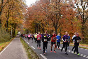 Zevenheuvelenloop