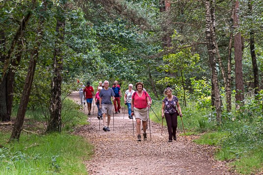 Start to Nordic Walk